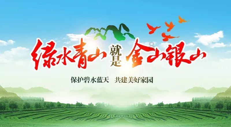 全民烧脑3去广告版
